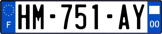 HM-751-AY