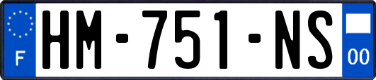 HM-751-NS