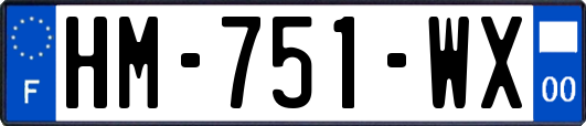 HM-751-WX