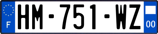 HM-751-WZ