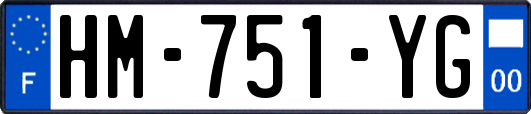 HM-751-YG