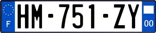 HM-751-ZY