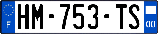HM-753-TS