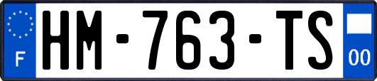 HM-763-TS