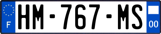 HM-767-MS