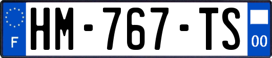 HM-767-TS