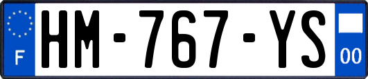 HM-767-YS