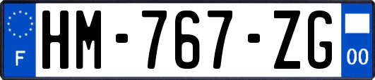 HM-767-ZG