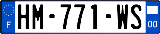 HM-771-WS