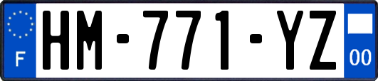 HM-771-YZ