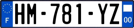 HM-781-YZ