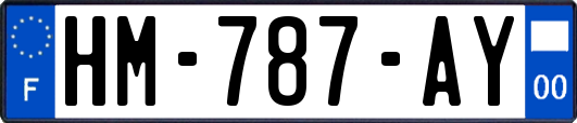 HM-787-AY