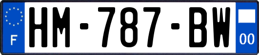 HM-787-BW
