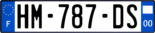HM-787-DS