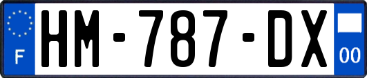 HM-787-DX
