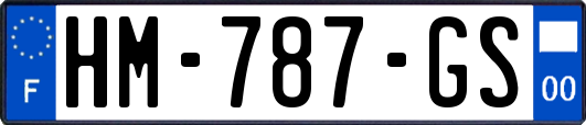 HM-787-GS