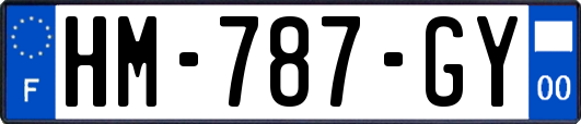 HM-787-GY