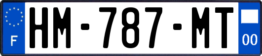 HM-787-MT