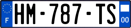 HM-787-TS