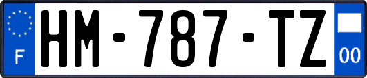 HM-787-TZ