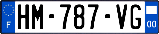 HM-787-VG
