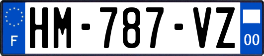 HM-787-VZ