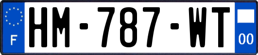 HM-787-WT