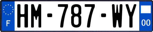 HM-787-WY