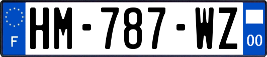 HM-787-WZ