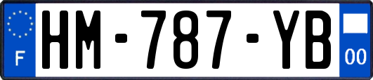HM-787-YB