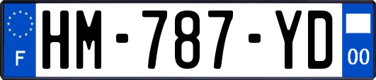 HM-787-YD