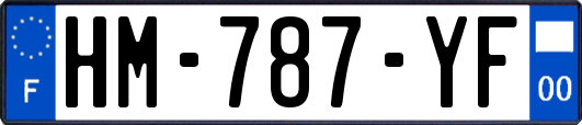 HM-787-YF