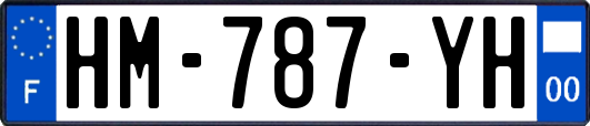 HM-787-YH