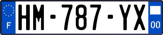HM-787-YX