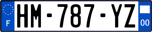 HM-787-YZ
