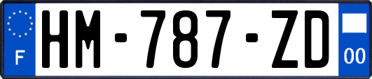 HM-787-ZD