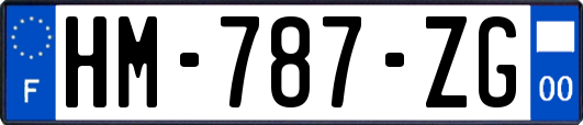 HM-787-ZG