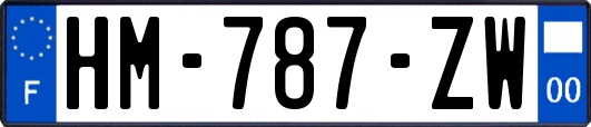 HM-787-ZW