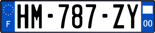 HM-787-ZY