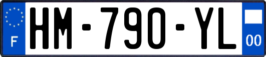 HM-790-YL