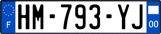 HM-793-YJ
