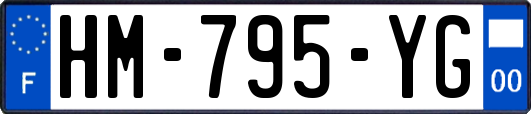 HM-795-YG