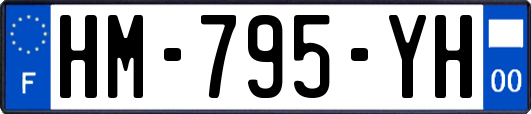 HM-795-YH