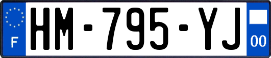 HM-795-YJ