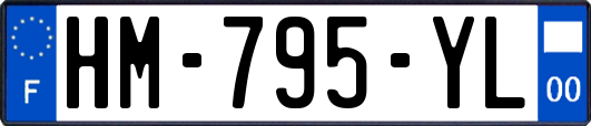 HM-795-YL