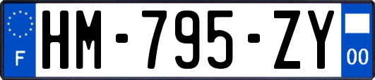 HM-795-ZY