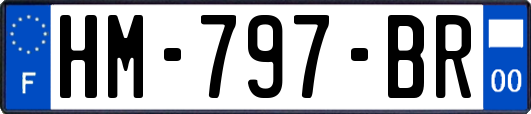 HM-797-BR