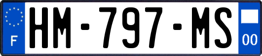 HM-797-MS