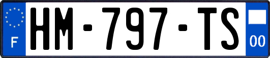 HM-797-TS