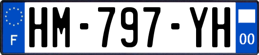 HM-797-YH
